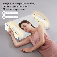 Oreiller de musique du meilleur choix fournisseur OEM avec alarme du lever du soleil et sons de méditation