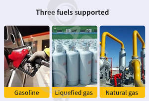 <span class=keywords><strong>เครื่อง</strong></span>กำเนิดไฟฟ้าเชื้อเพลิงแบบคู่<span class=keywords><strong>ชุด</strong></span><span class=keywords><strong>แปลง</strong></span> GX390 GX160แอลพีจีสำหรับเครื่องยนต์เบนซิน168 170F <span class=keywords><strong>เครื่อง</strong></span>กำเนิดเชื้อเพลิงแบบคู่ - Product Image 6