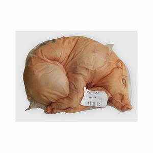 Carne de cerdo congelada de la mejor calidad, origen de carcasa de bebé disponible para suministro, carne de cerdo congelada de grado frontal, carne de cerdo Halal barata - Product Image 1