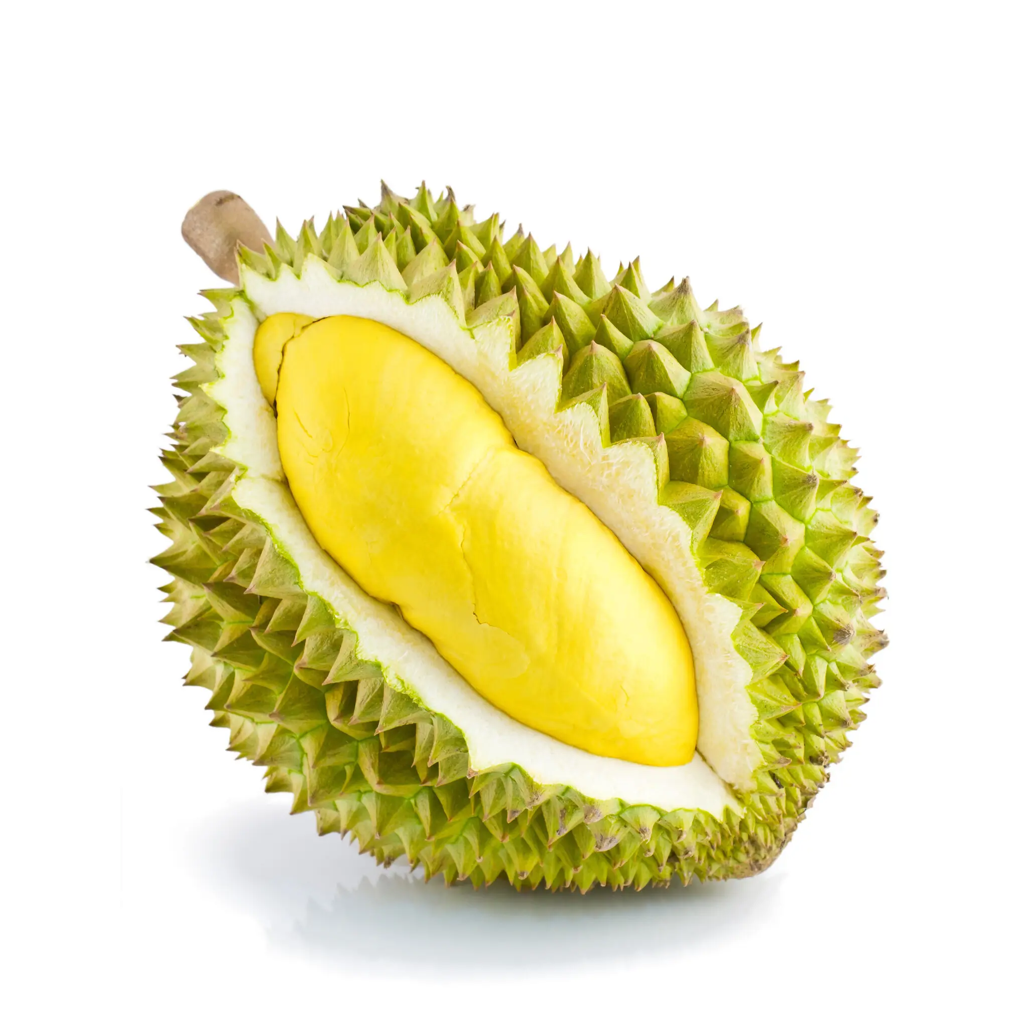 Embalaje Durian congelado 20Kg/caja para exportación. Whatsapp + 84 976727907 Sra. Carolina