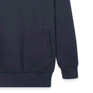 2025 sweat à capuche pour hommes en coton léger Logo personnalisé et impression quantité en vrac en gros pour la saison d'hiver de Street Wear - Product Image 6