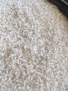 ข้าวหอมมะลิเมล็ดยาวสีขาว คัดแยกด้วยเครื่อง Sortex สะอาด ได้รับการรับรองมาตรฐาน ISO เนื้อนุ่ม ผลผลิตปี 2026 บรรจุภัณฑ์ 5กก. 10กก. 25กก. แบรนด์ Belle จัดจำหน่ายโดยตรงจากโรงงาน - Product Image 6