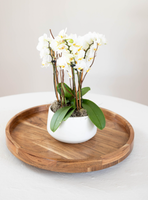 Draaibare ronde acaciahouten vintage handgemaakte Lazy Susan presentatiestand voor kruiden en specerijen met 360 graden draaibare tafel
