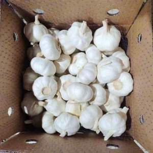 Ajo Seco Único, 100% Natural, 12 Meses de Duración - Product Image 2