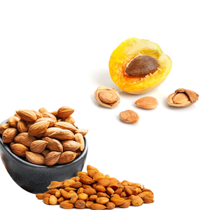 แอปริคอทเคอร์เนล | อุปทานจำนวนมากสำหรับแบรนด์สุขภาพออร์แกนิก - Product Image 3
