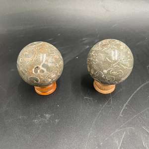 Esfera de Jaspe Turritella Gris Natural, Bola de Piedra Fósil Pulida para Decoración del Hogar, Colección de Cristales y Recuerdo, 3–5 cm - Product Image 1