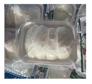 Carne de coco blanco congelado Vietnam Premium Exportación de coco congelado Suministro a granel para postres Batidos Bebidas saludables Comercio global - Product Image 1