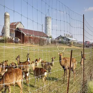 Dipped Galvanized Farm Wire Mesh Fence for Cattle Sheep and Goats Agricultural Field Grassland Fencing