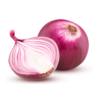 Oignon frais biologique non pelé d'Autriche, taille 20 cm, disponible pour la vente en gros, prix avantageux, assurance qualité pour le commerce de transformation alimentaire - Product Image 3