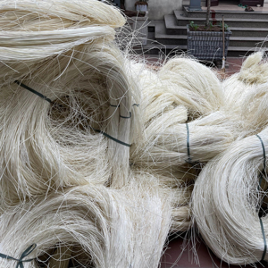 แกนหวายฟอกขาว2.0มม. 2.5มม. 3.0มม. ทำจากเวียดนามวัตถุดิบงานหัตถกรรมคุณภาพสูงทางการเกษตร - Product Image 6