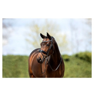 Brida para caballo estilo inglés, de cuero ecuestre para exteriores, hecha a mano con atención al detalle, adecuada para todo tipo de caballos. - Product Image 2