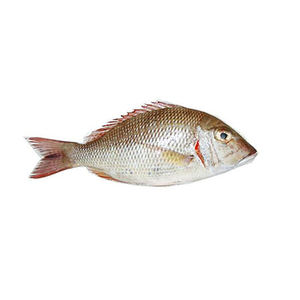 Vente en gros : Nouveauté - Poisson empereur frais congelé, naturel, nutritif et faible en gras, issu des fruits de mer - Product Image 1