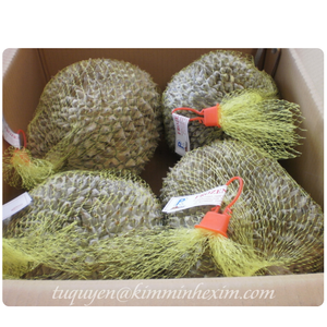 Chair naturelle de Durian congelée IQF sans graine d'origine du Vietnam - Product Image 5