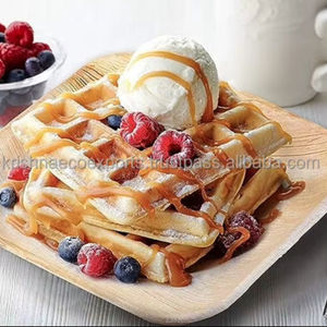 Assiettes carrées jetables de qualité export, neuves, 10 pouces, écologiques, pour le déjeuner, les collations et les assiettes pour les amuse-gueules et les collations - Product Image 1