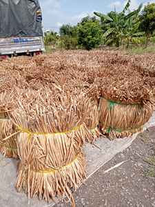 วัสดุผักตบชวาอบแห้งยืดหยุ่นสำหรับงานหัตถกรรมจากเวียดนาม - Product Image 2