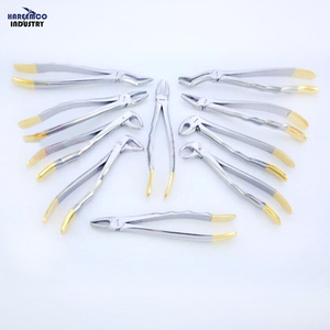 Kit de forceps d'extraction dentaire en acier inoxydable de marque personnalisée avec technologie EMS, certifié CE ISO, 10 pièces, en poudre, écologique - Product Image 1
