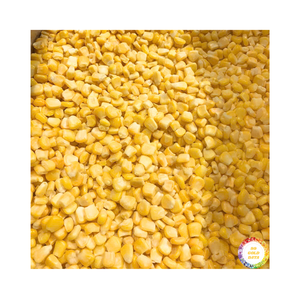 Maïs bébé surgelé naturel du Vietnam, fabriqué à partir de maïs frais et tendre, idéal pour les sautés, les salades et l'approvisionnement de l'industrie alimentaire - Product Image 5