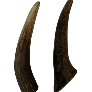 Cuerno para beber decorativo auténtico vaso vikingo para celebraciones navideñas y regalos - Product Image 1