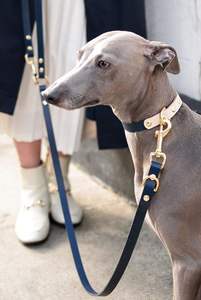 Queue rustique de Divine International Collier de chien en cuir fait à la main Style de luxe vintage unique Personnalisation classique Caractéristique durable - Product Image 3