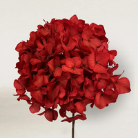 Große Blatt-Hortensien, konserviert getrocknet, Babyblau, Marineblau, echte Infinity-Blumen, Großhandel für die Inneneinrichtung