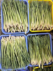 100% Citronnelle naturelle fraîche congelée du Vietnam Culture crue d'OGM Légumes surgelés certifiés halal certifiés IQF - Product Image 4