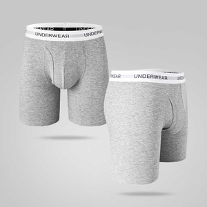 Active Lifestyle Comfort Fit Hommes Boxer Briefs Avec Tissu Doux Respirant Stretch Ceinture Évacuation De L'humidité Soutien Pour Quotidien - Product Image 2