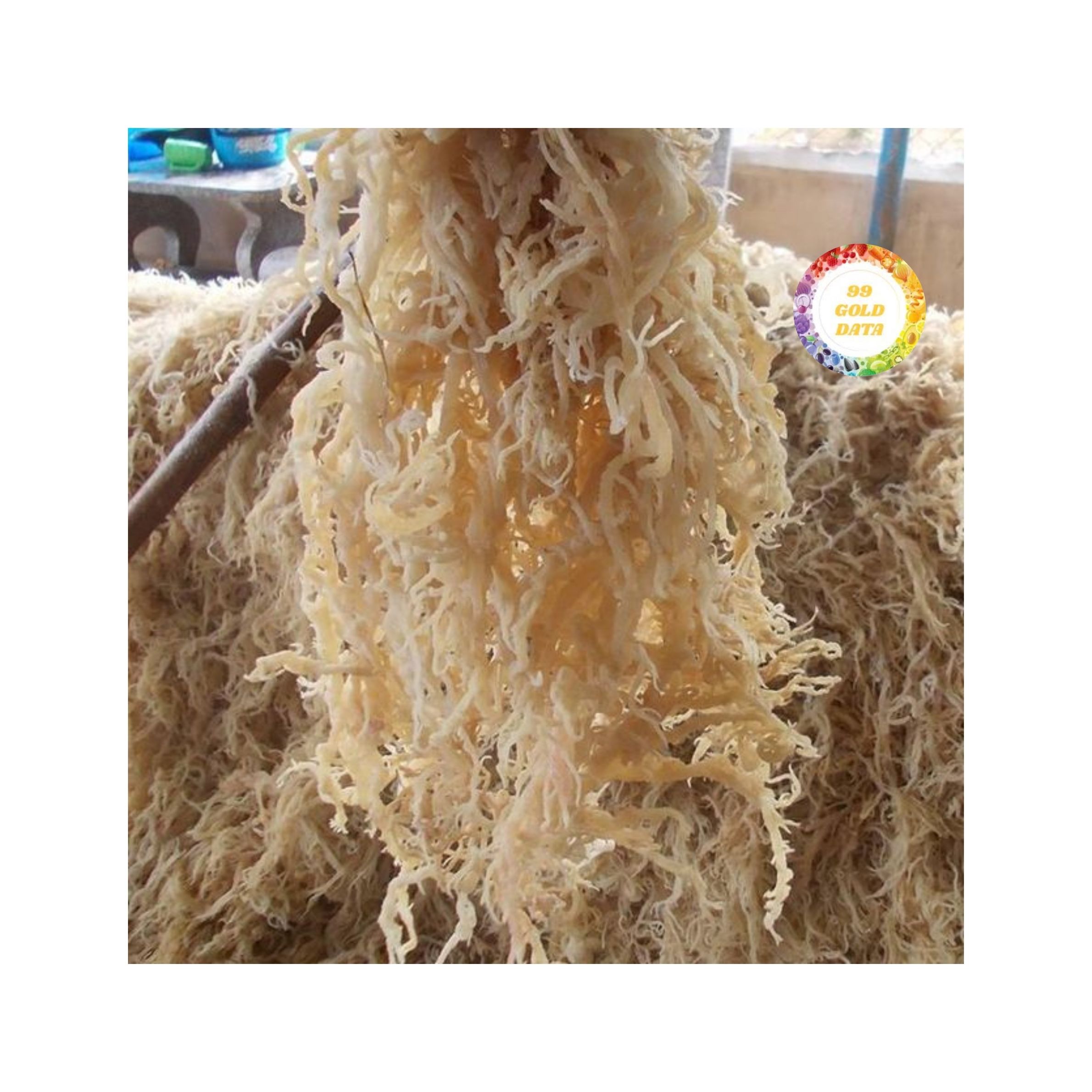 Сушеные водоросли Eucheuma Cottonii из вьетнамских премиальных источников для каррагинана и мировой пищевой промышленности