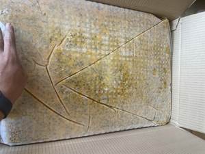 Fruit de la Passion des fruits surgelés du Vietnam au meilleur prix - Product Image 5