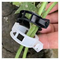 Serre Plante Cultivant Greffage Vining Légumes Clips Treillis Tomate Vigne Clip