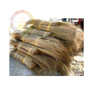 Palos de escoba de coco asequibles al por mayor: naturales, de larga duración e ideales para pedidos a gran escala - Product Image 1