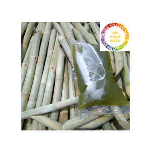 Bastón de caña de azúcar natural congelado, ideal para aplicaciones de jugo y batidos de Vietnam - Product Image 6