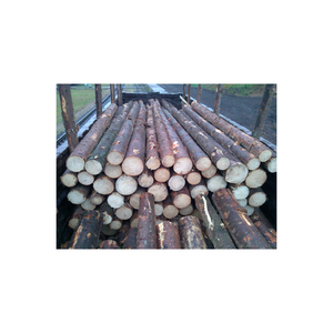 Factory-direct Spruce <b>Logs</b> with smooth bark and strong durability - Product Image 5