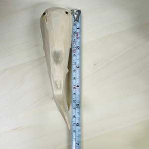 YEEYAYA Statuetta di Balena in Legno Intagliata a Mano da 6 Pollici, Scultura Artistica di Pesce in Legno per Decorazione Domestica, Accento per Stanza a Tema Acquatico - Product Image 4