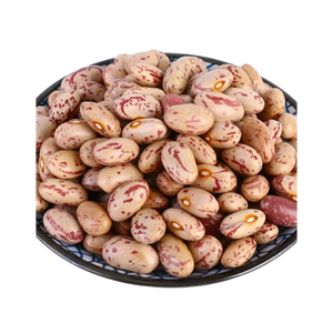 ถั่วไตมีรอยด่างอ่อน/ถั่วไพน์โต/ถั่วน้ำตาล - Product Image 5