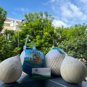 Su diario Chill Sweet Fresh Young Vietnamese Coconut Water con 60 días de vida útil Hecho en Ben Tre Vietnam - Product Image 6