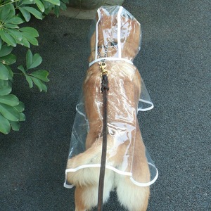 도매 사용자 정의 투명 PVC 개 의류 애완 동물 액세서리 야외 개 비옷 - Product Image 5