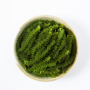 Uvas de Mar Más Vendidas - Uvas de Mar Secas Naturales Deliciosas de Alta Calidad - Product Image 3