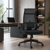 Chaise de bureau ergonomique à dossier haut en maille, avec support lombaire réglable, accoudoirs rabattables et roulettes en PU