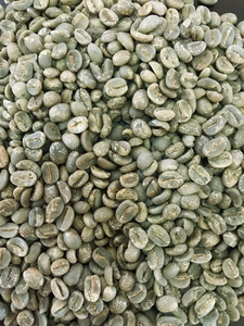 Café vert Arabica de spécialité du Vietnam, qualité G1/G2, taille 16, 100% naturel, certifié ISO 22000, marque TNFOOD, directement de l'usine - Product Image 2