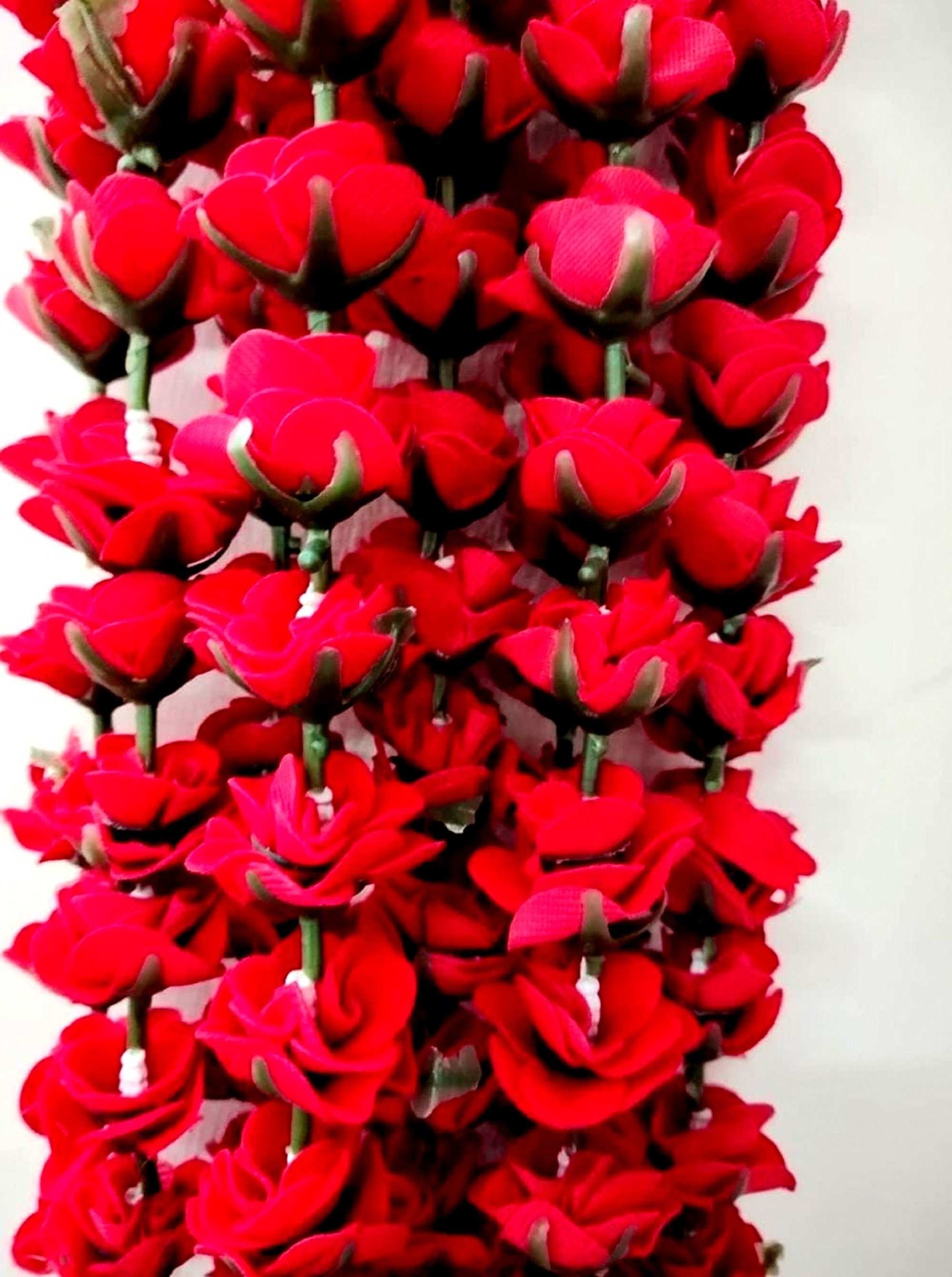 Elección de colores