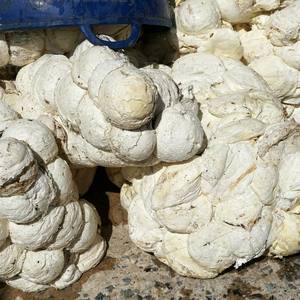 GRUOS DE GOMA NATURAL DE ALTA CALIDAD CON 62-72% DRC/Bulto de taza de goma de mejor grado - Product Image 1