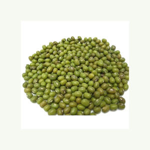 Vente en gros directe du meilleur fournisseur Haricots mungo verts biologiques de haute qualité style Vigna Sacs en vrac de 25kg Prix - Product Image 1