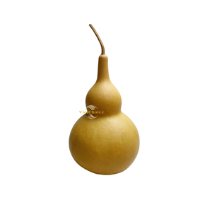 VietChoice - Calabazas Secas Ecológicas, Artesanías Hechas a Mano, Productos de Decoración Natural - Product Image 1