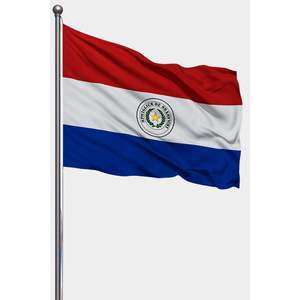 Custom <b>Flag</b> and Hand <b>Flag</b> From Paraguay Printed in Digital Technique on Silk and Polyester with Custom Logo Aluminum <b>Pole</b> - Product Image 1