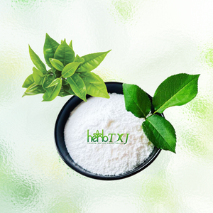 緑茶エキスエピガロカテキンガレート98% <span class=keywords><strong>Egcg</strong></span>粉末健康食品 - Product Image 2