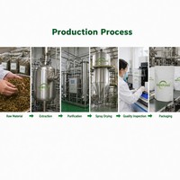 Poudre de bêta-ecdystérone, extrait naturel de plante, 95 % de qualité alimentaire, extrait de Cyanotis Arachnoidea en poudre pour l'industrie alimentaire et les compléments alimentaires