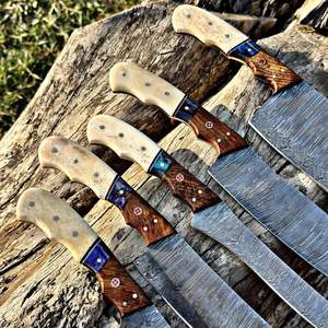 Juego de Cuchillos de Chef Profesionales, Hechos a Mano, de Acero al Carbono Forjado, 5 Piezas, Mango de Hueso, Ambidiestros, Duraderos, para Cocina - Product Image 3