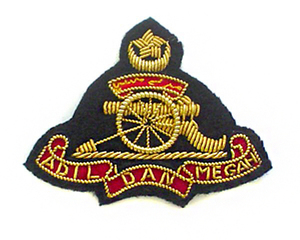 Pakistan Made Wholesale Blazer Badges 2026 Customized Color Blazer Badges <b>Sew</b>-On Fabric Custom Embroidered - Product Image 4