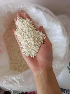 Gạo ngọt/nếp/gạo nếp cho bánh và sử dụng thực phẩm tải trong Container Bopp/PP/pepa Túi - Product Image 6