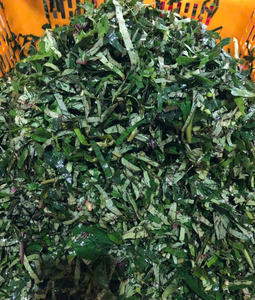 Feuilles de patate douce IQF de haute qualité-riches en nutriments et fibres du Vietnam - Product Image 3